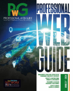 Professional Web Guide 2024